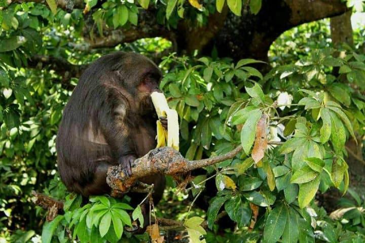 Cabanas Ixaya Catemaco Kültér fotó