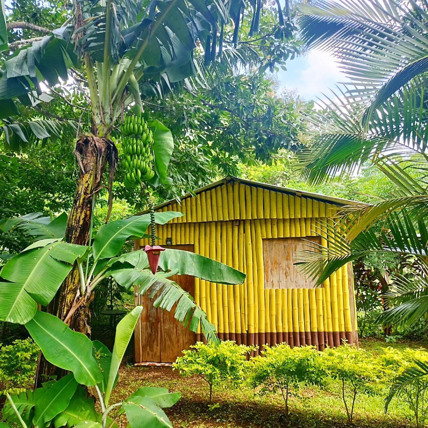 Cabanas Ixaya Catemaco Kültér fotó